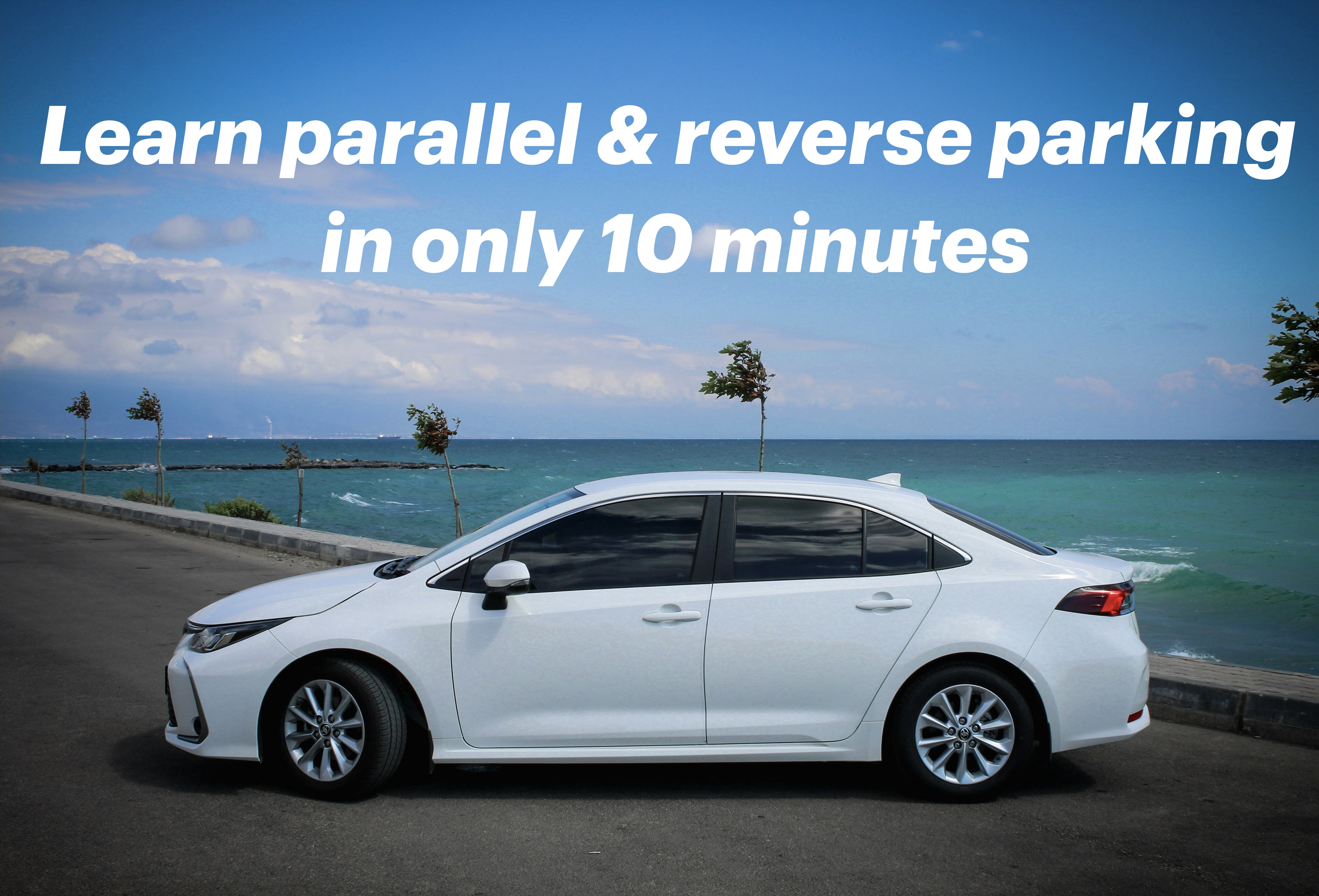 Your success is our success